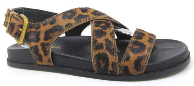 Halleya - Choc Leopard Black Pony
