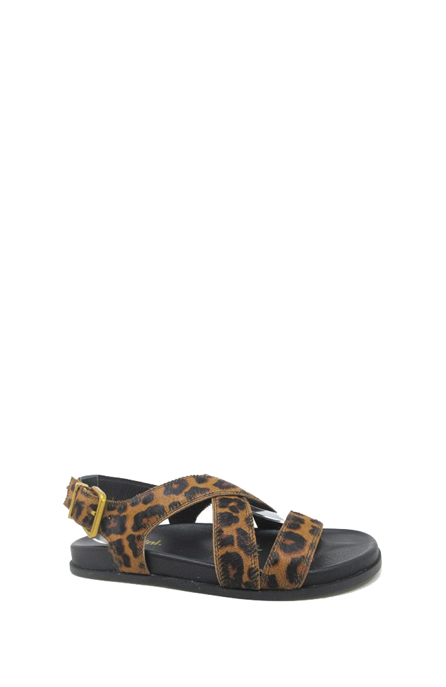 Halleya - Choc Leopard Black Pony