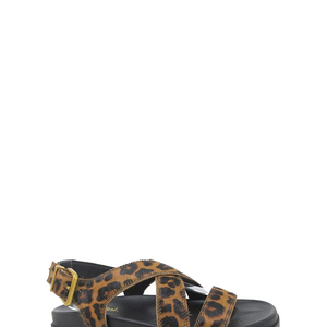 Halleya - Choc Leopard Black Pony