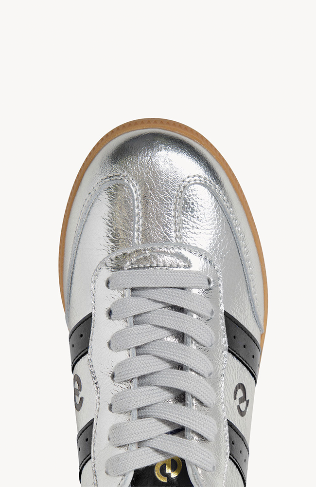 2001 Parallel Silver Metallic/Black