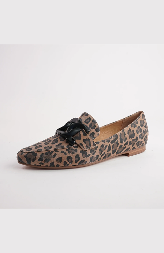 Socoros - Camel Leopard