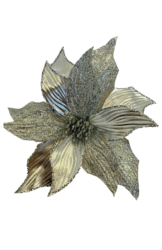 Silver Poinsettia