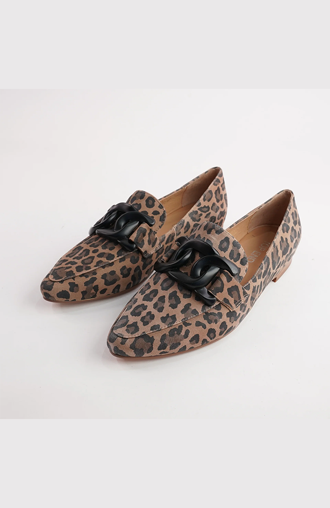 Socoros - Camel Leopard