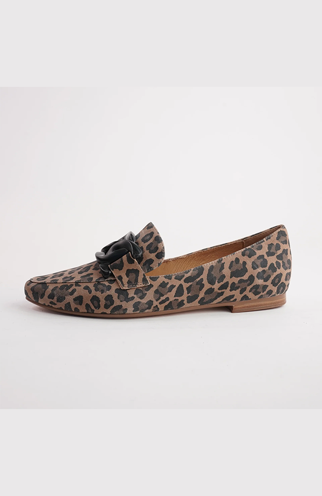 Socoros - Camel Leopard