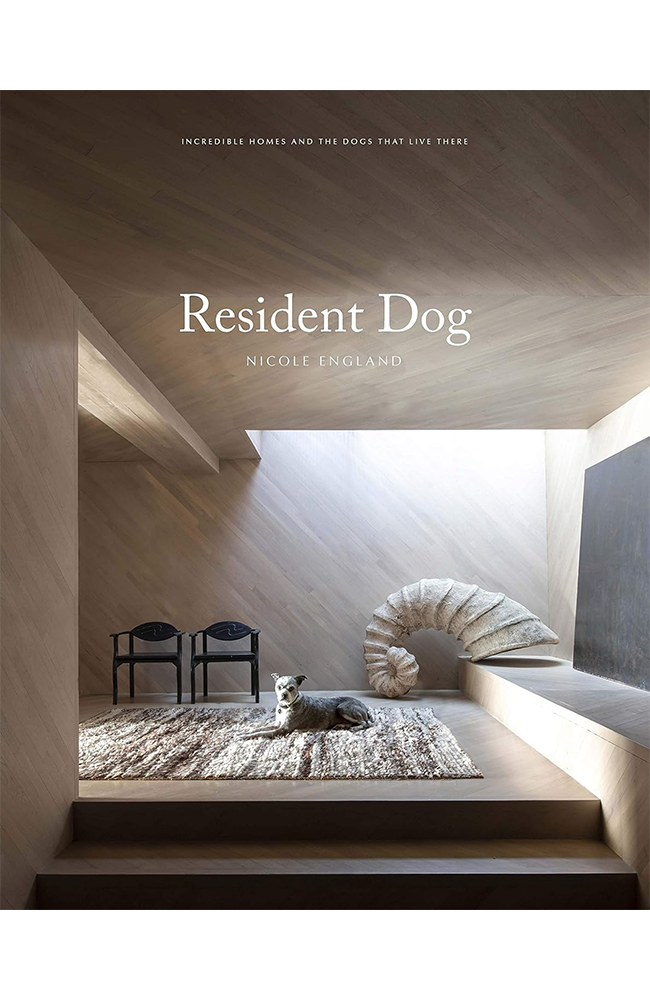 Resident Dog (Volume Two)