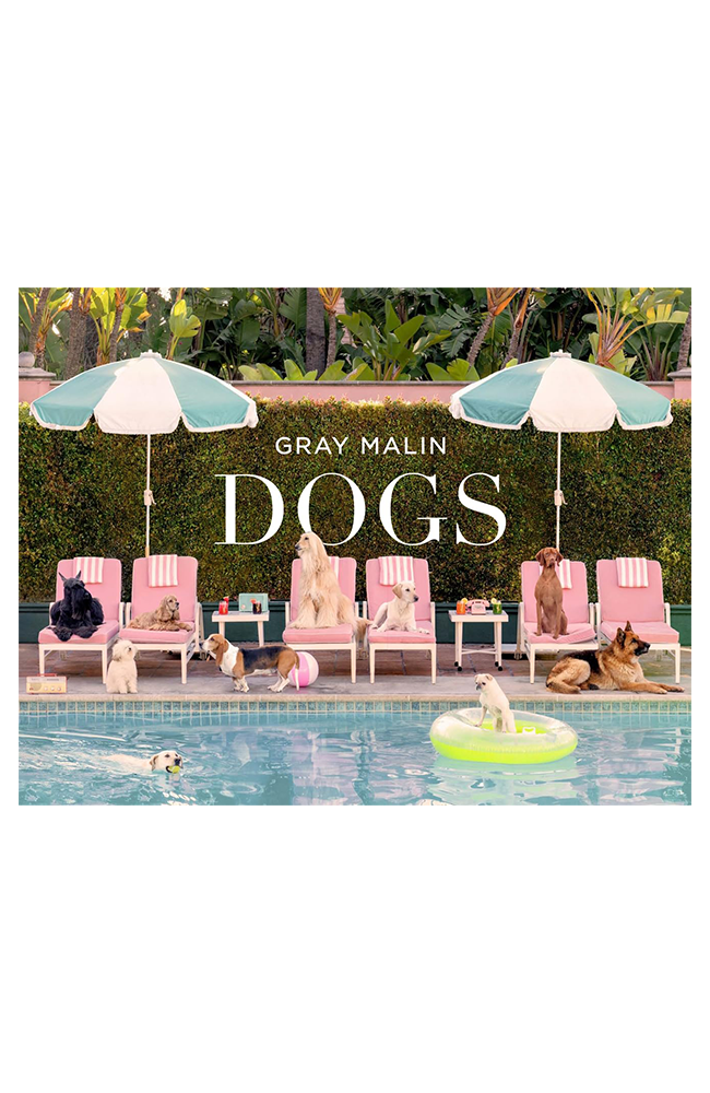 Gray Malin: Dogs