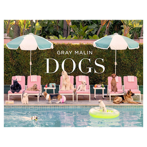 Gray Malin: Dogs