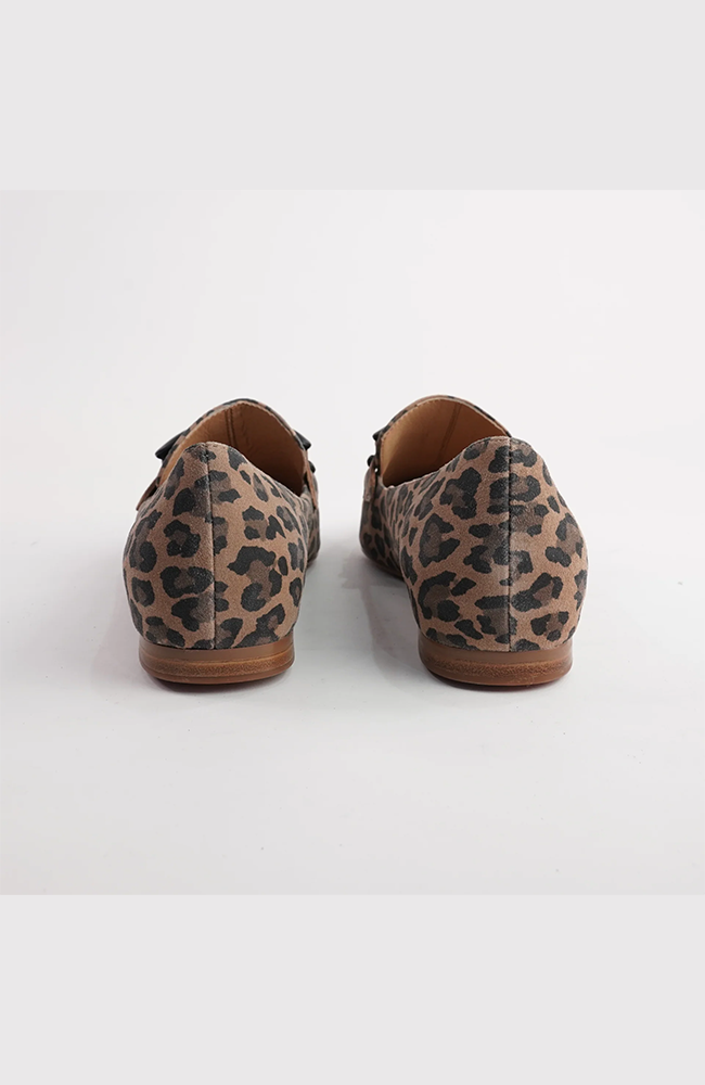 Socoros - Camel Leopard