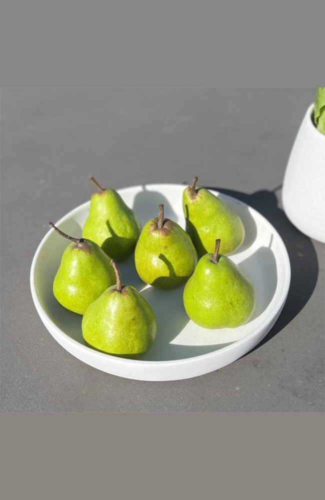 Tex Shallow Bowl - Natural 30cm