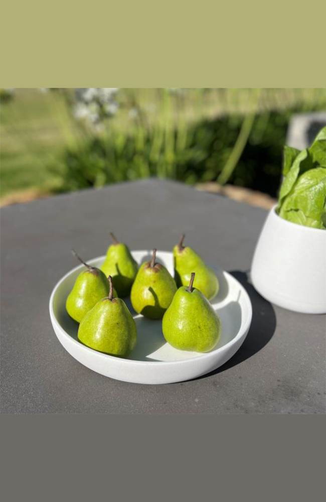 Tex Shallow Bowl - Natural 30cm