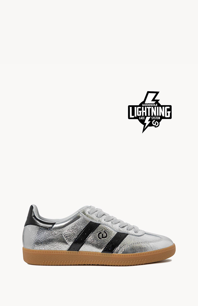 2001 Parallel Silver Metallic/Black