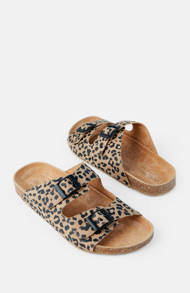 Bailey Slide - Tan Leopard