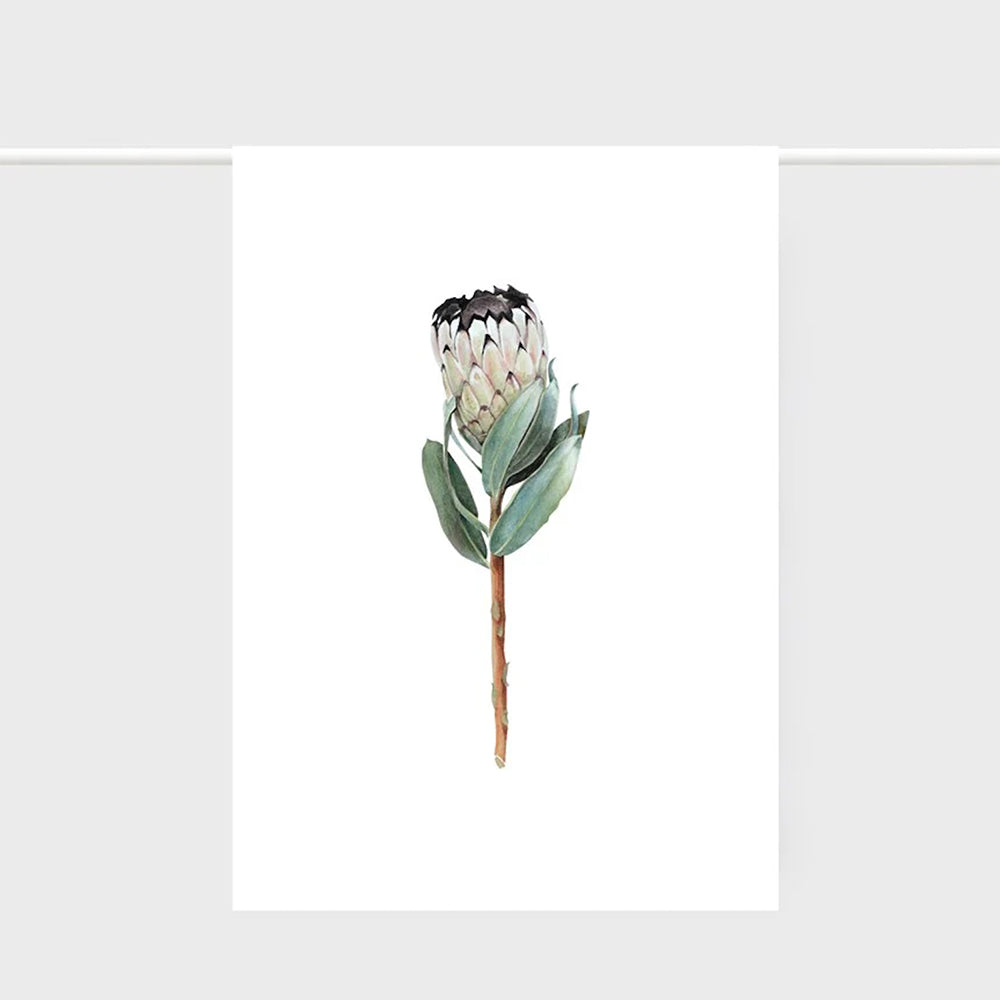 Protea Tea Towel