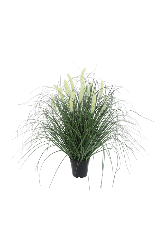 Jonty Potted Cat Tail Grass