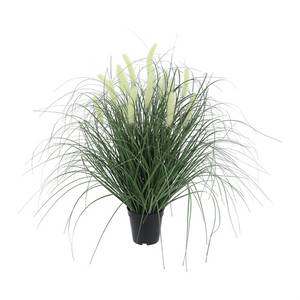 Jonty Potted Cat Tail Grass