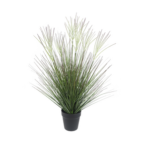 Jonty Potted Wild Grass