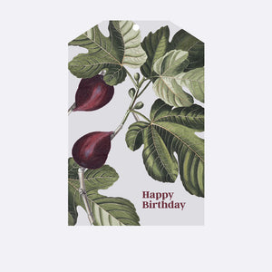 Gift Tag - Fig Happy Birthday