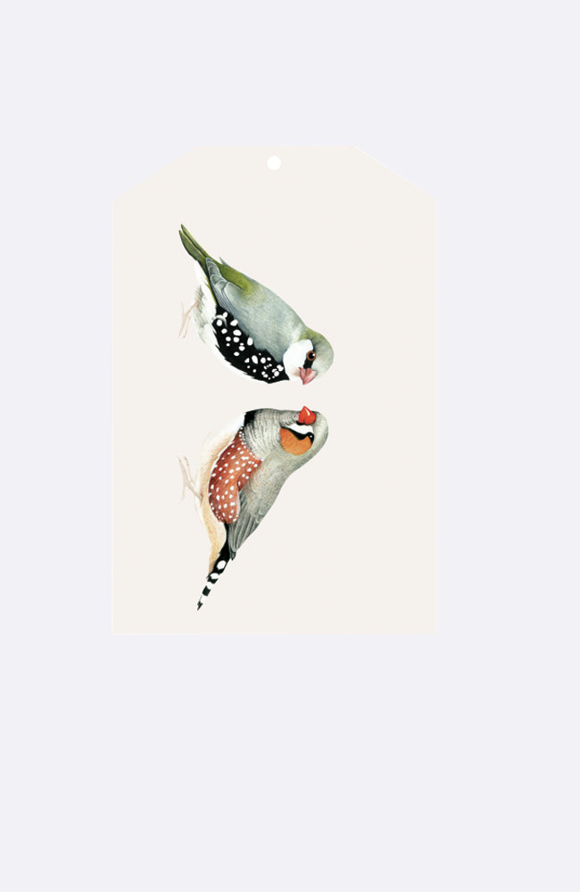 Gift Tag - Couple of Birds
