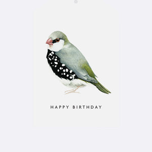 Gift Tag - Happy Birthday Bird
