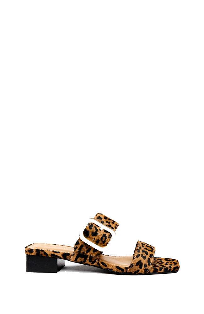 Independence Slide - Leopard