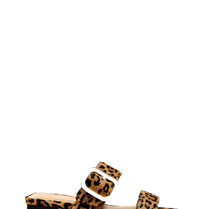 Independence Slide - Leopard