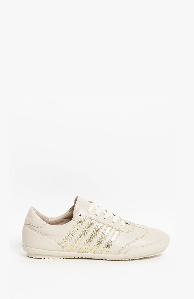 Jaffa - Cream/Gold