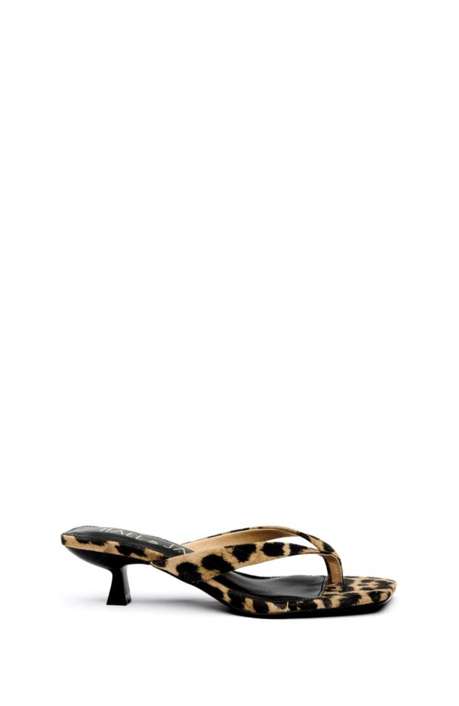 Astute Slide - Leopard