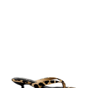 Astute Slide - Leopard