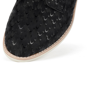 Derby - Black Peacock