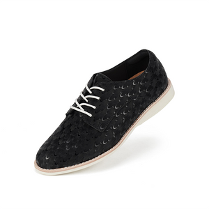 Derby - Black Peacock