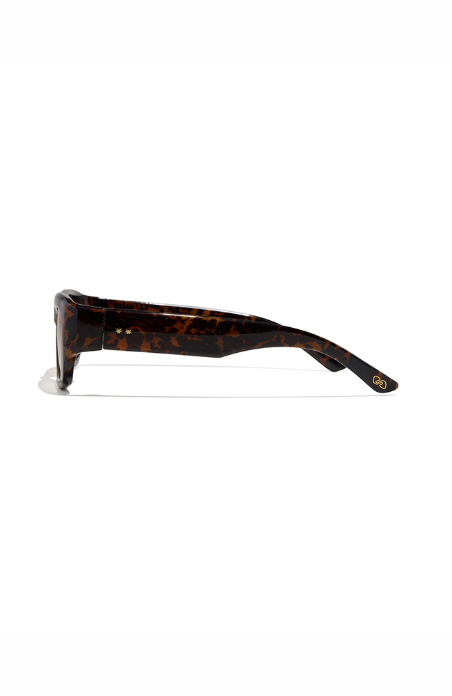 Spence - Havana Tortiseshell / Amber