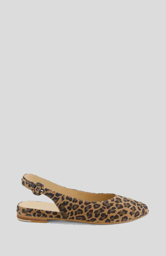 Fairy Flats - Camel Leopard