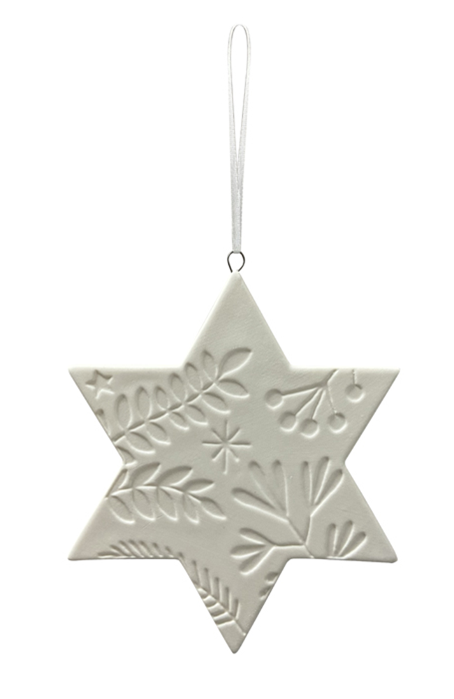 Six Point Star - White