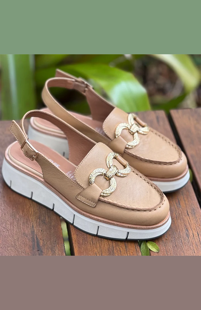 Bettina - Camel