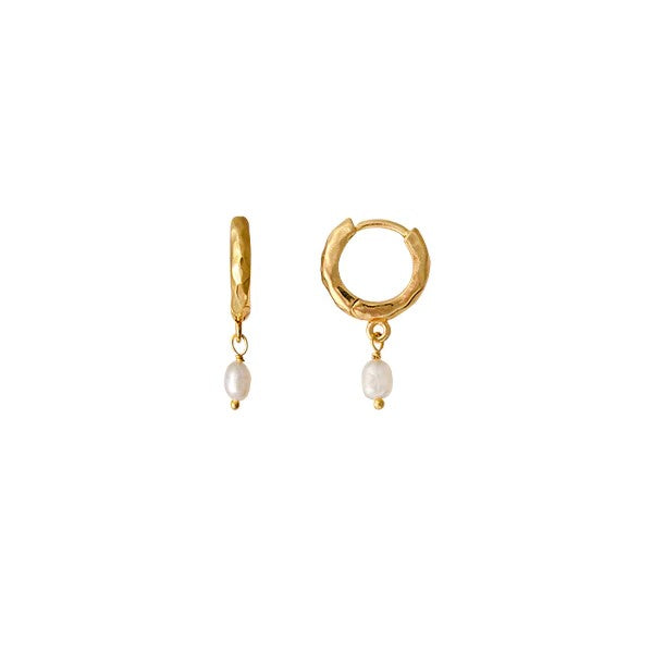 Clam Earrings - Gold