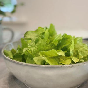 Indigo Salad Bowl