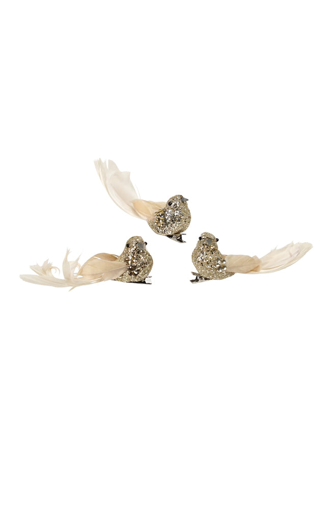 Champagne Feather Bird 3 Assorted