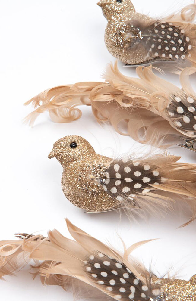 Champagne Sparkle Spot Tail Clip On Bird