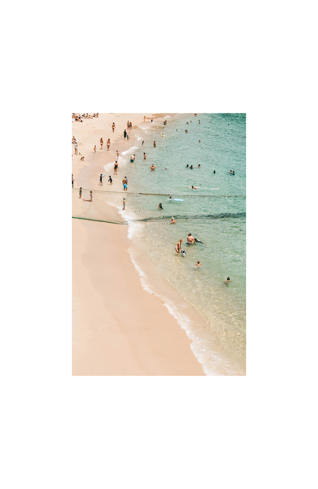 Photographic Print - Shark Net II - White Frame