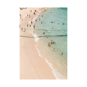 Photographic Print - Shark Net II - White Frame